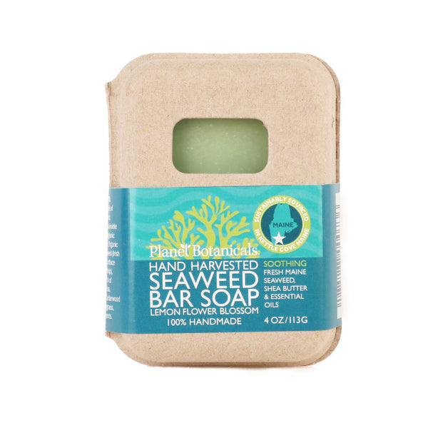 Wakame Seaweed Soap Bar, Seaweed In Soap